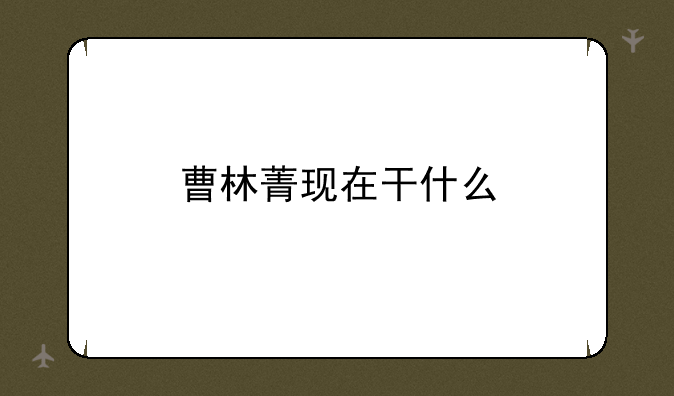 曹林菁现在干什么