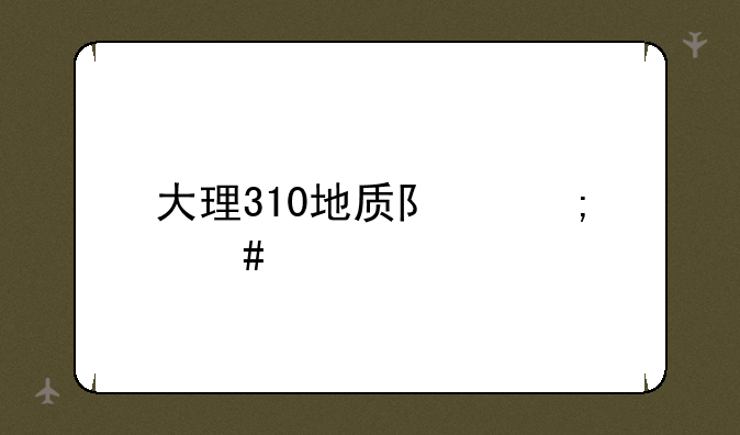 大理310地质队怎么样