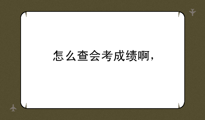 怎么查会考成绩啊，
