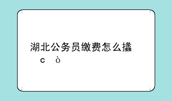 湖北公务员缴费怎么支付？