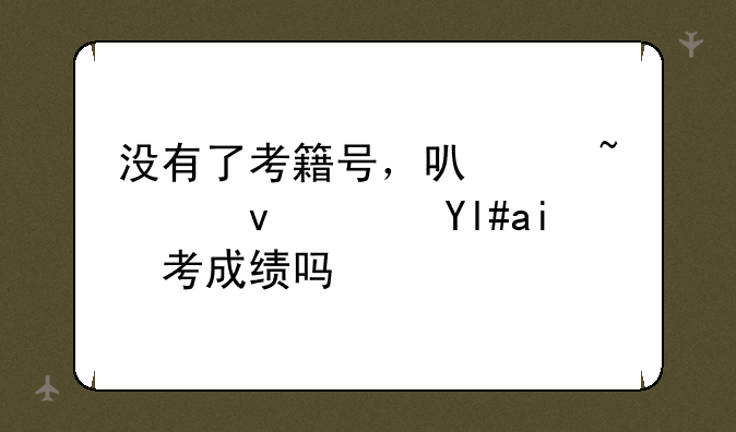 没有了考籍号，可以查江苏小高考成绩吗？