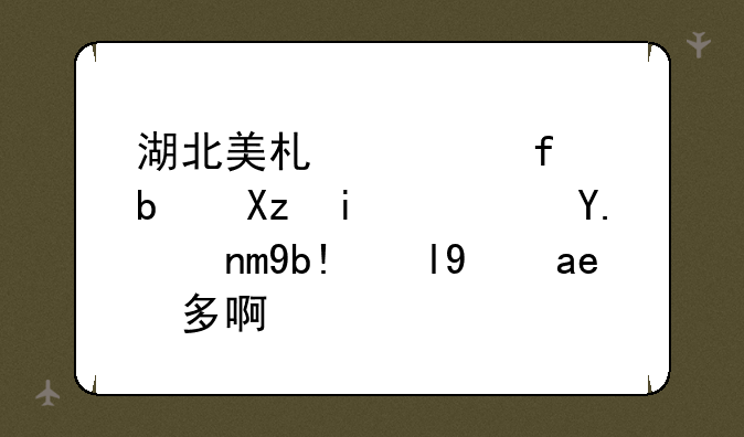 湖北美术学院是几本？今年分数线几多啊？